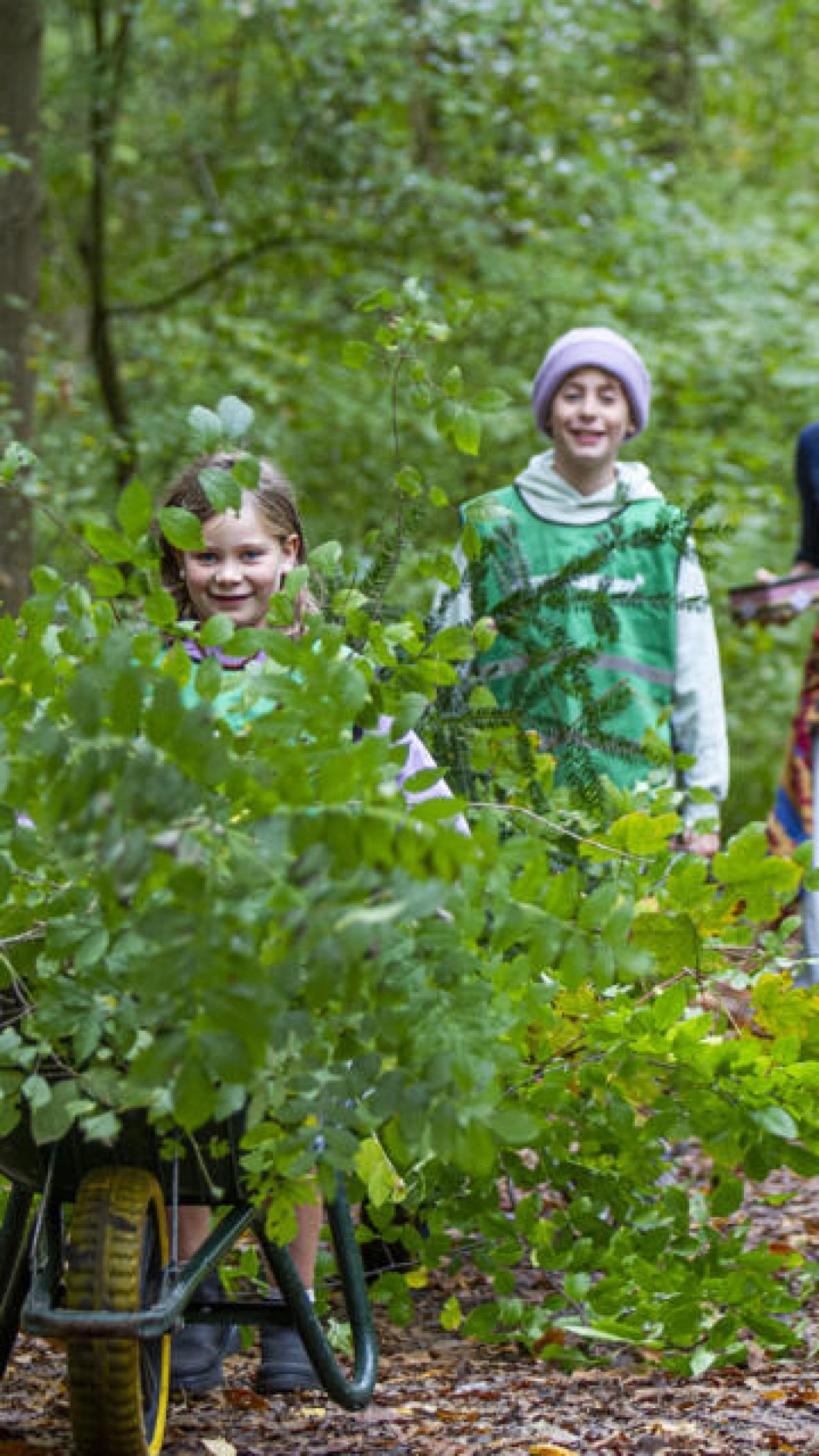 Volunteer Day: Heathland Maintenance in Sappemeer